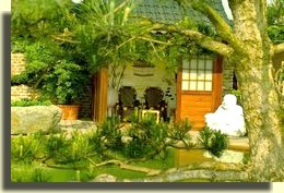 Teahouse behind tree